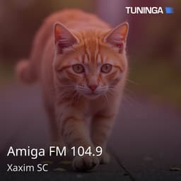 Amiga FM 104.9