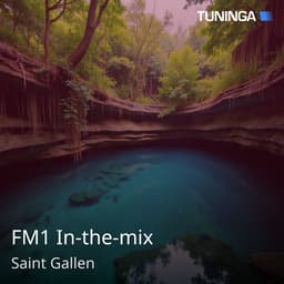 FM1 In-the-mix