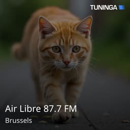 Air Libre 87.7 FM