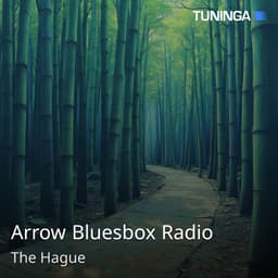 Arrow Bluesbox Radio
