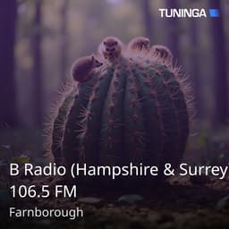 B Radio (Hampshire & Surrey) 106.5 FM