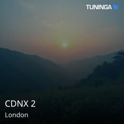 CDNX 2