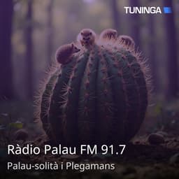 Ràdio Palau FM 91.7