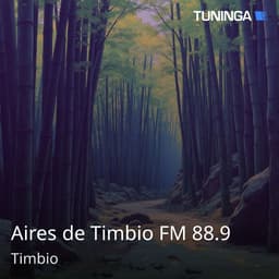 Aires de Timbio FM 88.9
