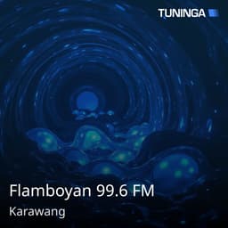 Flamboyan 99.6 FM