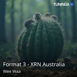 Format 3 - XRN Australia