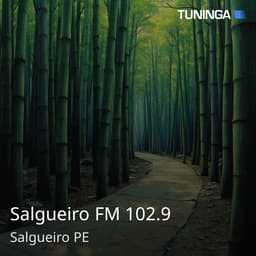 Salgueiro FM 102.9
