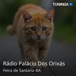 Rádio Palácio Dos Orixás