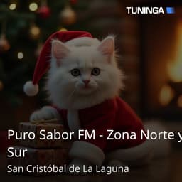 Puro Sabor FM - Zona Norte y Sur