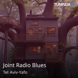 Joint Radio Blues