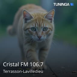 Cristal FM 106.7