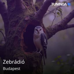 Zebrádió