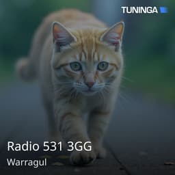 Radio 531 3GG