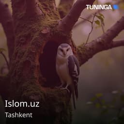 Islom.uz