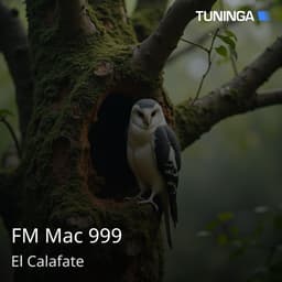 FM Mac 999