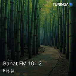 Banat FM 101.2