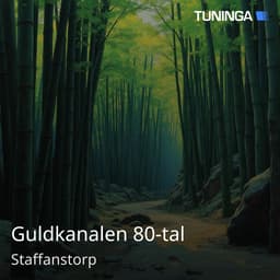 Guldkanalen 80-tal