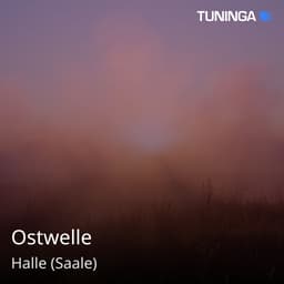 Ostwelle