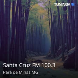Santa Cruz FM 100.3