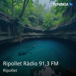 Ripollet Ràdio 91.3 FM