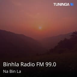 Binhla Radio FM 99.0