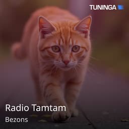 Radio Tamtam