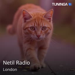 Netil Radio