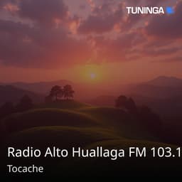 Radio Alto Huallaga FM 103.1
