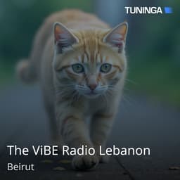 The ViBE Radio Lebanon