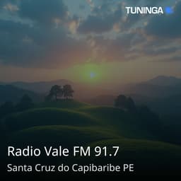 Radio Vale FM 91.7