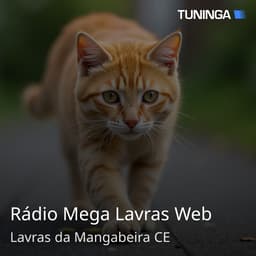 Rádio Mega Lavras Web