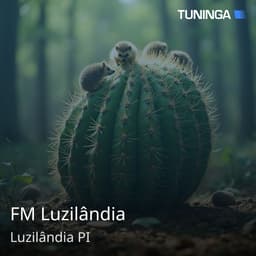 FM Luzilândia
