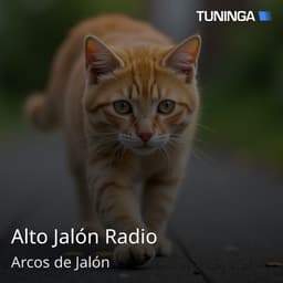Alto Jalón Radio