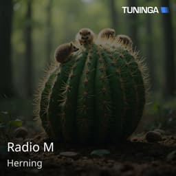 Radio M