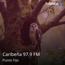 Caribeña 97.9 FM