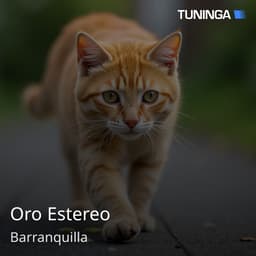 Oro Estereo