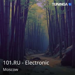 101.RU - Electronic