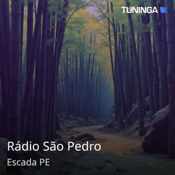 Rádio São Pedro