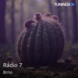 Rádio 7