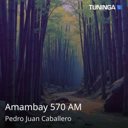 Amambay 570 AM