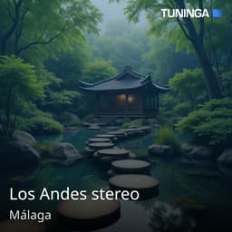 Los Andes stereo