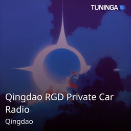 Qingdao RGD Private Car Radio