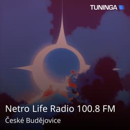 Netro Life Radio 100.8 FM