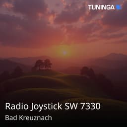 Radio Joystick SW 7330