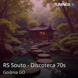 RS Souto - Discoteca 70s