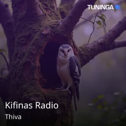 Kifinas Radio
