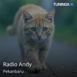 Radio Andy