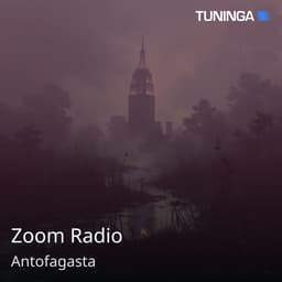 Zoom Radio
