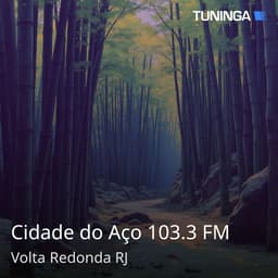 Cidade do Aço 103.3 FM