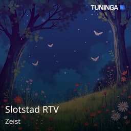 Slotstad RTV